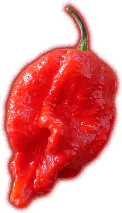 Photo of a 7 Pot Barrackpore pepper