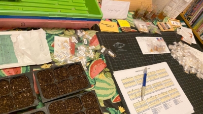 Photo of table covered with packets of seeds, trays, and potting mix