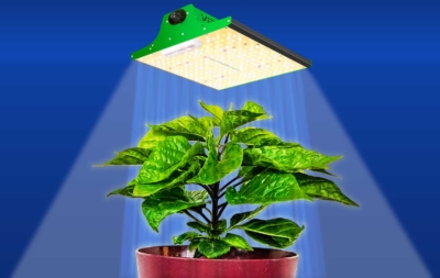 Photo of a VIPARSPECTRA grow light lighting a young hot pepper plant